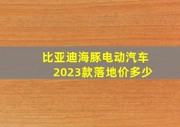 比亚迪海豚电动汽车2023款落地价多少