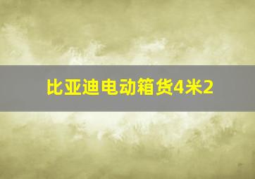 比亚迪电动箱货4米2