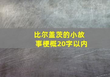 比尔盖茨的小故事梗概20字以内