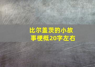 比尔盖茨的小故事梗概20字左右