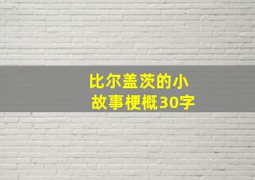 比尔盖茨的小故事梗概30字