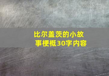 比尔盖茨的小故事梗概30字内容