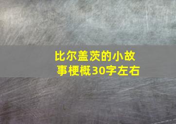 比尔盖茨的小故事梗概30字左右