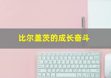 比尔盖茨的成长奋斗