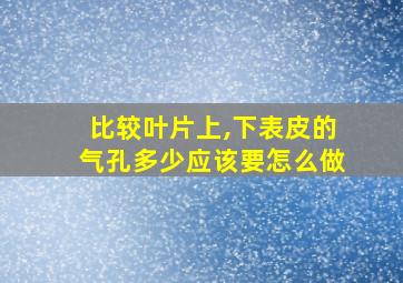 比较叶片上,下表皮的气孔多少应该要怎么做