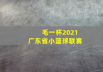 毛一杯2021广东省小篮球联赛