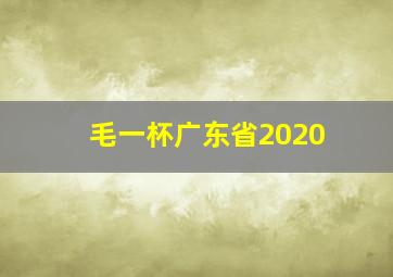 毛一杯广东省2020