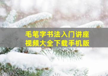 毛笔字书法入门讲座视频大全下载手机版