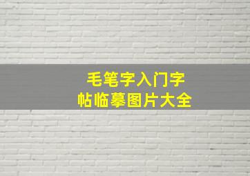 毛笔字入门字帖临摹图片大全