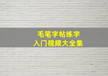 毛笔字帖练字入门视频大全集