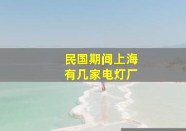 民国期间上海有几家电灯厂