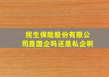 民生保险股份有限公司是国企吗还是私企啊