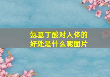 氨基丁酸对人体的好处是什么呢图片