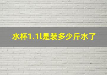 水杯1.1l是装多少斤水了