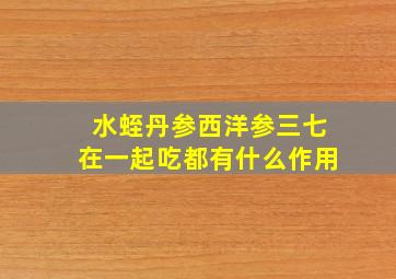 水蛭丹参西洋参三七在一起吃都有什么作用