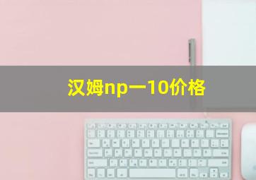 汉姆np一10价格