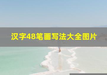 汉字48笔画写法大全图片