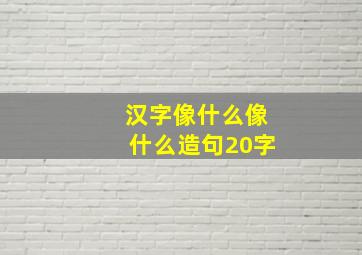 汉字像什么像什么造句20字