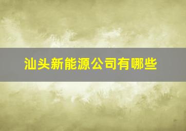 汕头新能源公司有哪些