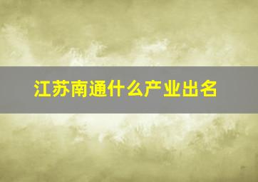 江苏南通什么产业出名