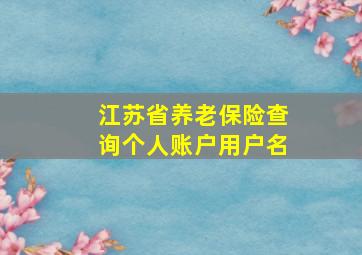 江苏省养老保险查询个人账户用户名