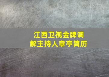 江西卫视金牌调解主持人章亭简历