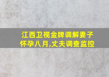 江西卫视金牌调解妻子怀孕八月,丈夫调查监控