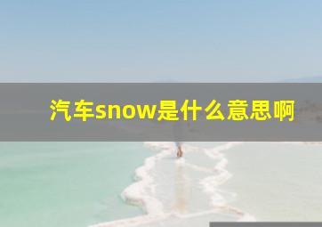 汽车snow是什么意思啊