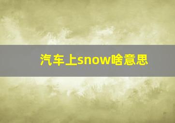 汽车上snow啥意思