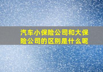 汽车小保险公司和大保险公司的区别是什么呢