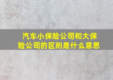 汽车小保险公司和大保险公司的区别是什么意思