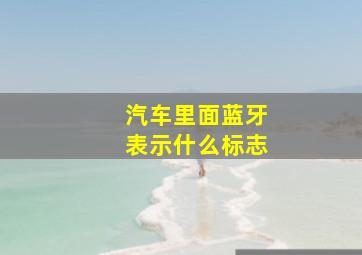 汽车里面蓝牙表示什么标志