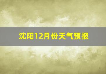 沈阳12月份天气预报