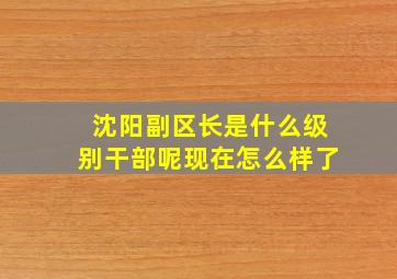 沈阳副区长是什么级别干部呢现在怎么样了