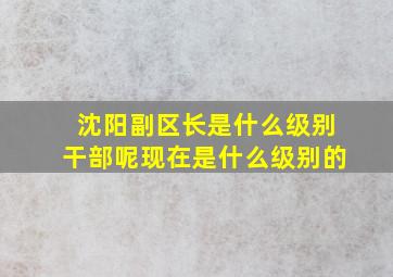 沈阳副区长是什么级别干部呢现在是什么级别的