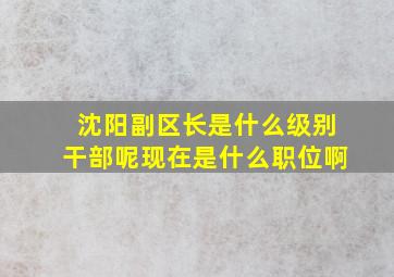 沈阳副区长是什么级别干部呢现在是什么职位啊