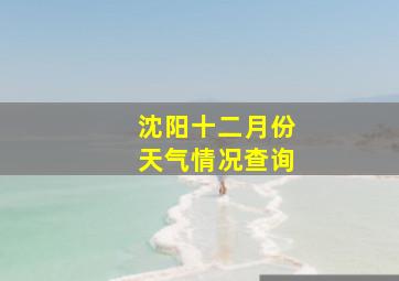 沈阳十二月份天气情况查询