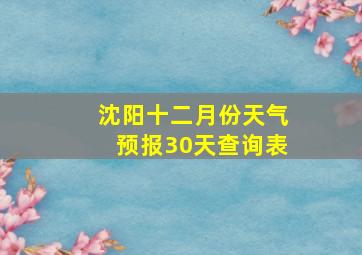 沈阳十二月份天气预报30天查询表