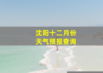 沈阳十二月份天气预报查询