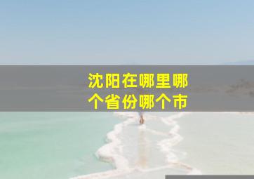 沈阳在哪里哪个省份哪个市