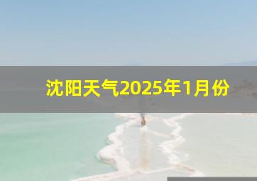 沈阳天气2025年1月份