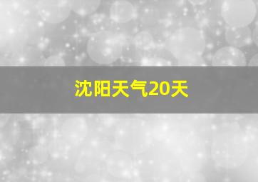 沈阳天气20天