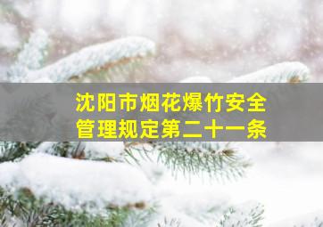 沈阳市烟花爆竹安全管理规定第二十一条