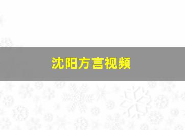 沈阳方言视频