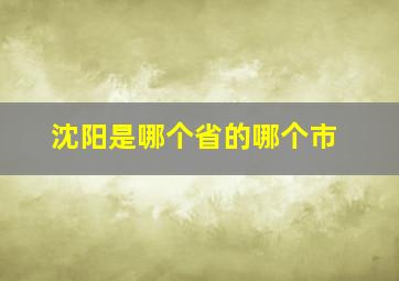 沈阳是哪个省的哪个市