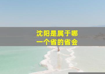 沈阳是属于哪一个省的省会