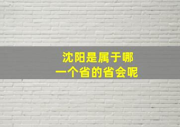 沈阳是属于哪一个省的省会呢