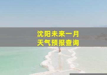 沈阳未来一月天气预报查询