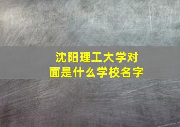 沈阳理工大学对面是什么学校名字