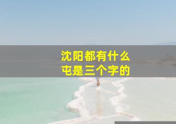 沈阳都有什么屯是三个字的